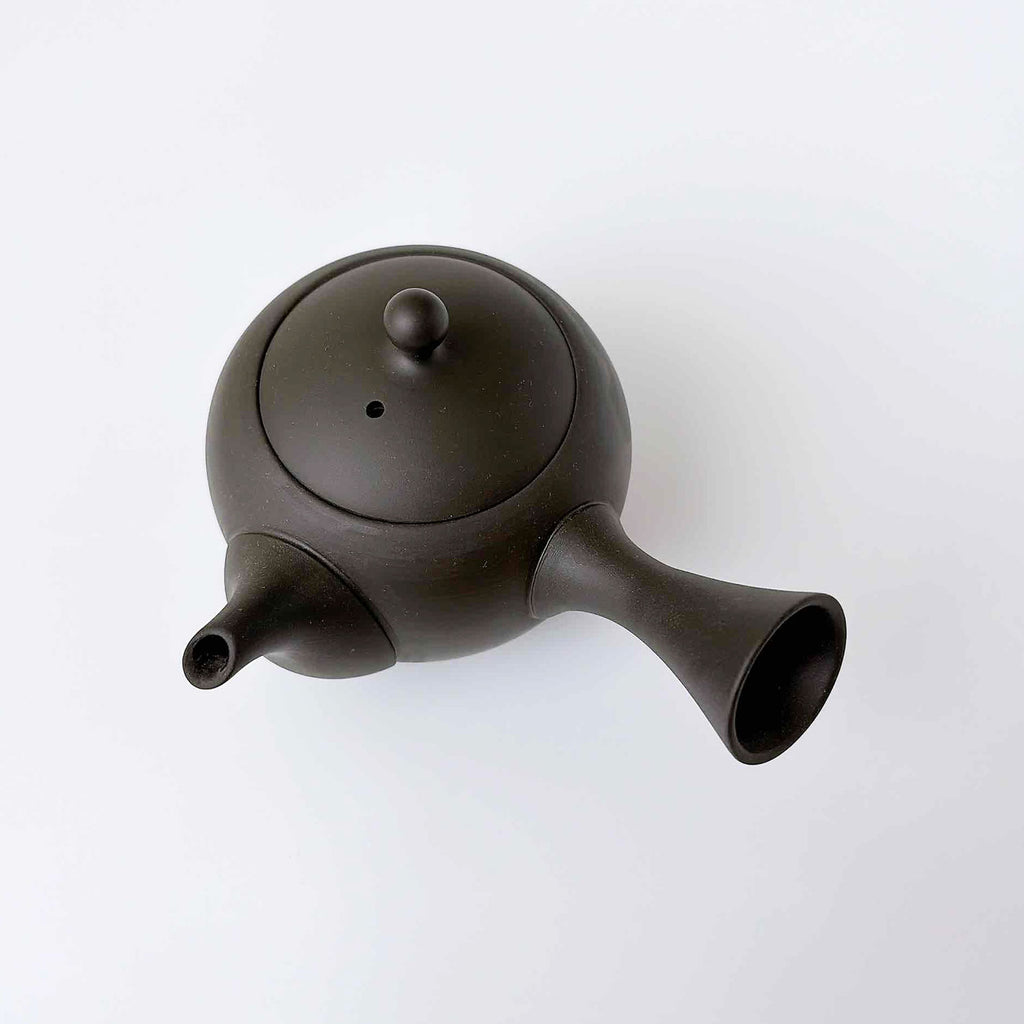 常滑焼 | JINSUI IROIRO 01 急須 290ml 2人用 Black 日本製