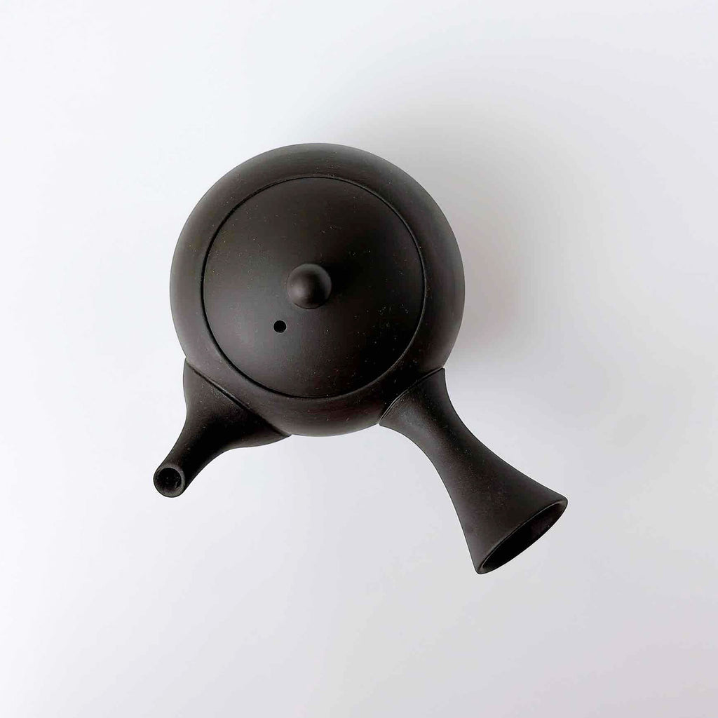 常滑焼 | JINSUI IROIRO 01 急須 290ml 2人用 Black 日本製