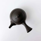 常滑焼 | JINSUI IROIRO 01 急須 290ml 2人用 Black 日本製