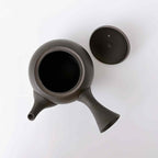 常滑焼 | JINSUI IROIRO 01 急須 290ml 2人用 Black 日本製