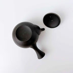 常滑焼 | JINSUI IROIRO 01 急須 290ml 2人用 Black 日本製