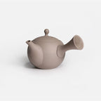 常滑焼 | JINSUI IROIRO 01 急須 290ml 2人用 Gray（グレージュ）日本製