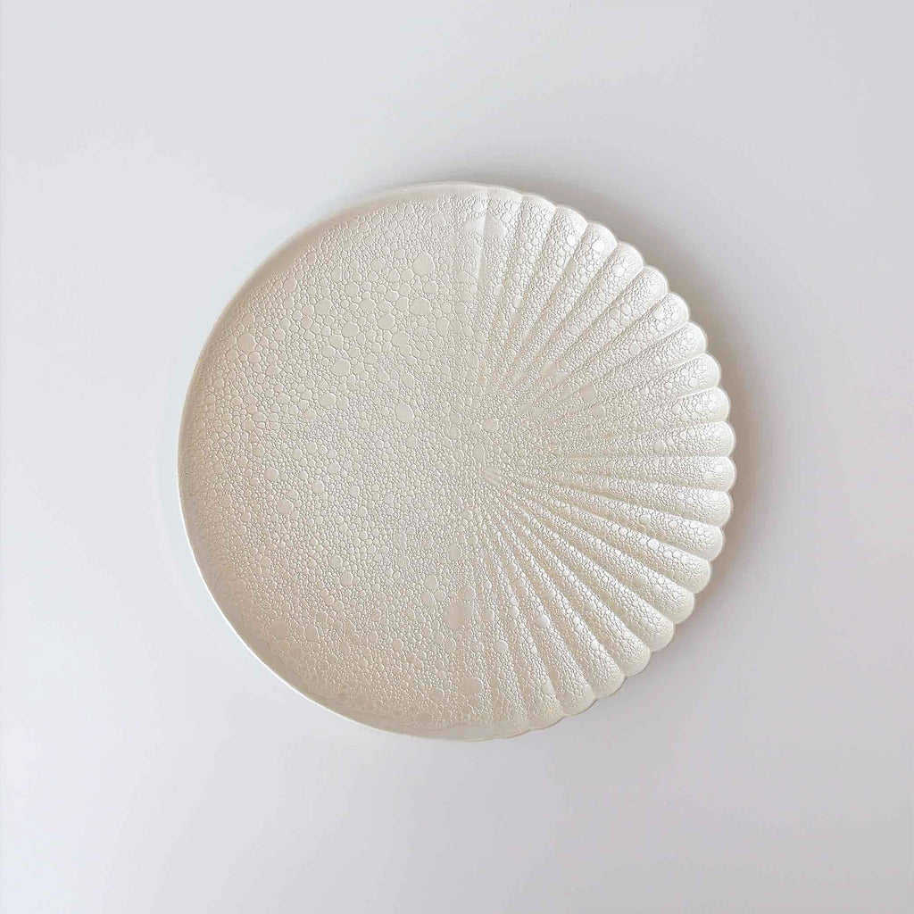 有田焼 | 白泡化粧 片菊彫 プレート 23cm/9.05inch 日本製