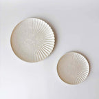 有田焼 | 白泡化粧 片菊彫 プレート 23cm/9.05inch 日本製