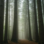 noble お香 紀州ヒノキの香り（瓶入り40本）日本製